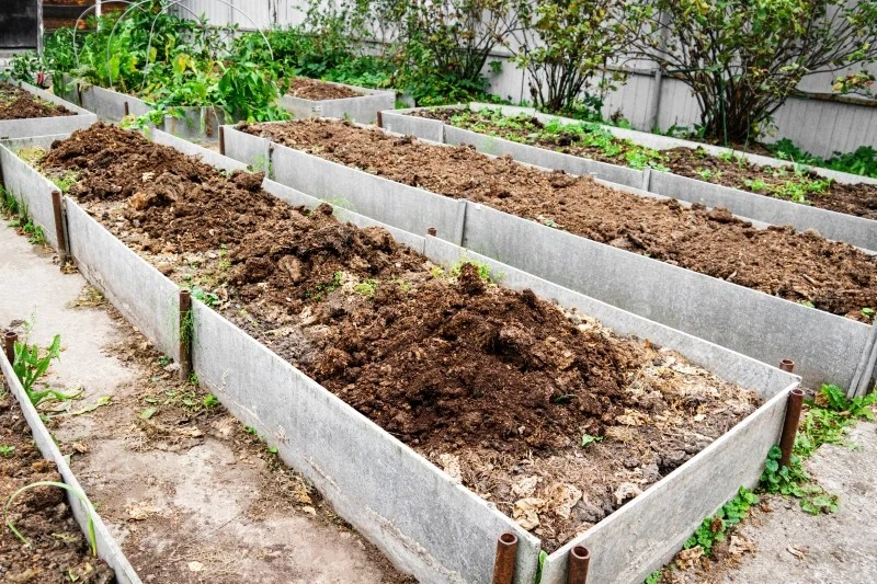 Ogród permakulturowy to taki, który działa w zgodzie z naturą