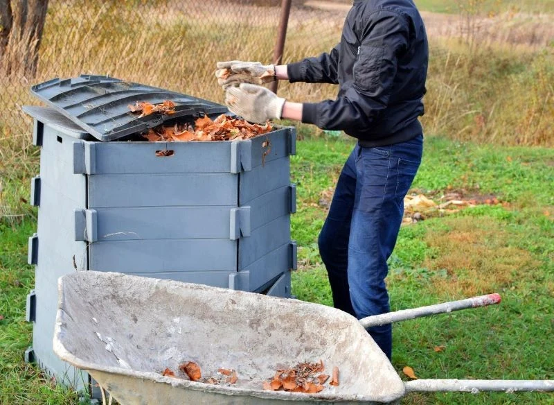 Suche liście mogą wzbogacić skład kompostu