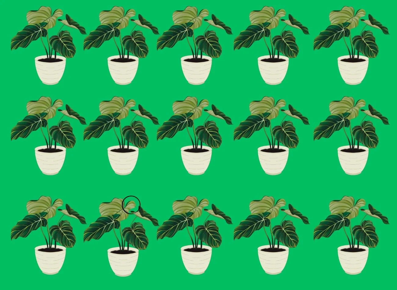 Subtelna zmiana zrobiła różnicę