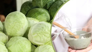 Poznaj najlepsze sposoby na przechowywanie kapusty.