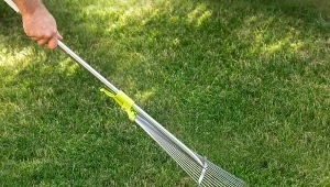 Po wertykulacji trawnika warto wykonać inne zabiegi, aby w kolejnym sezonie trawa wyrosła gęsta i zdrowa.