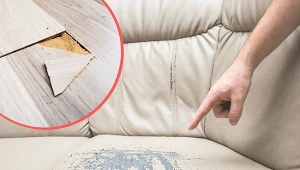 Część najemców nie ma żadnych oporów przed niszczeniem mieszkania, które im powierzono.