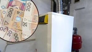 Czy przegląd pieca gazowego jest obowiązkowy? Sprawdź. Fot.CanvaPro/Stanislaw Bielski/EastNews