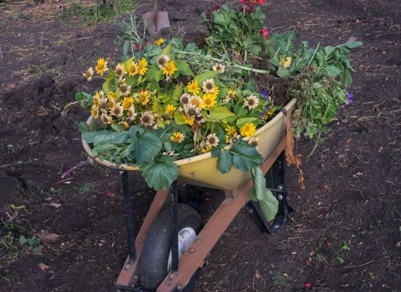 Nie wszystkie odpadki ogrodowe i kuchenne mogą trafić bezpośrednio na grządki
