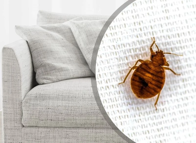 Meble z drugiej ręki