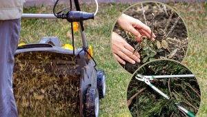 Prace w ogrodzie na jesień można zlecić. Cennik jest bardzo różny, zależy od miasta.