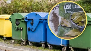 Gdzie wyrzucić opakowanie po przyprawach? Odpowiedź nie jest oczywista.