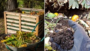 Który kompost jest lepszy – ciepły czy zimny? Sprawdź.