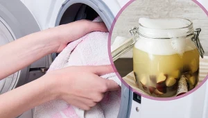 Wystarczy garść kasztanów, aby prać całkowicie za darmo.