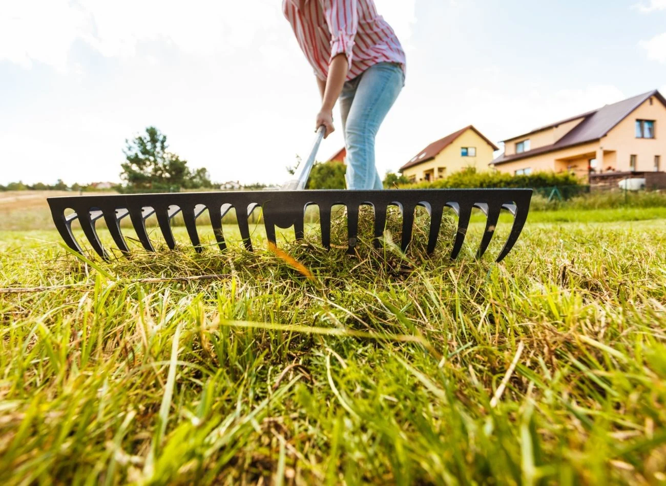 Pamiętaj o grabieniu liści i wyczesywaniu mchu z trawnika jesienią