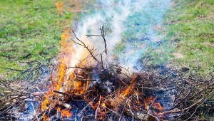 Żeby rozpalić ognisko w ogrodzie, trzeba spełnić kilka warunków.