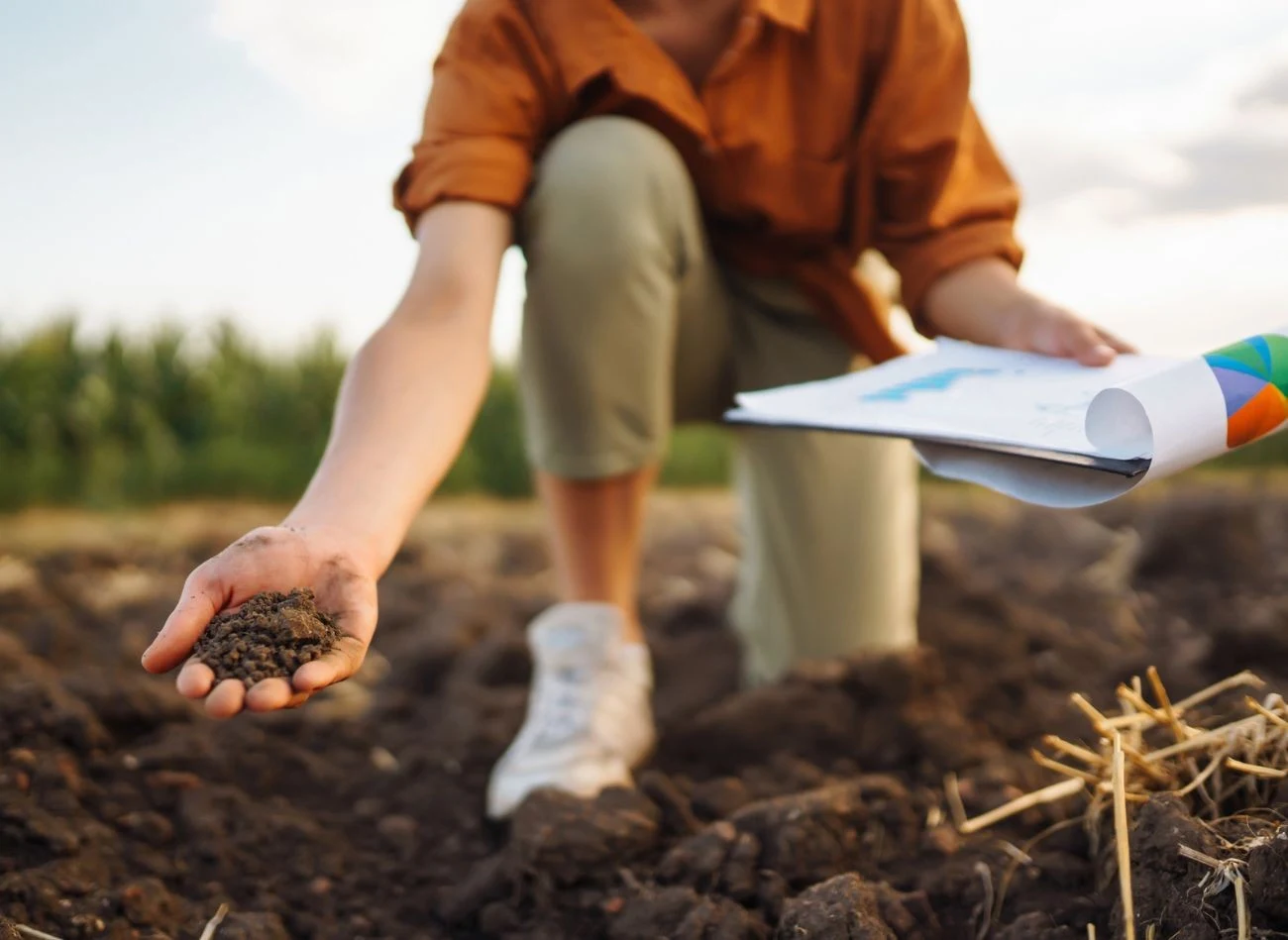 Od pH ziemi zależeć będą, czy rośliny, które sadzimy w ogrodzie, będą dobrze rosły