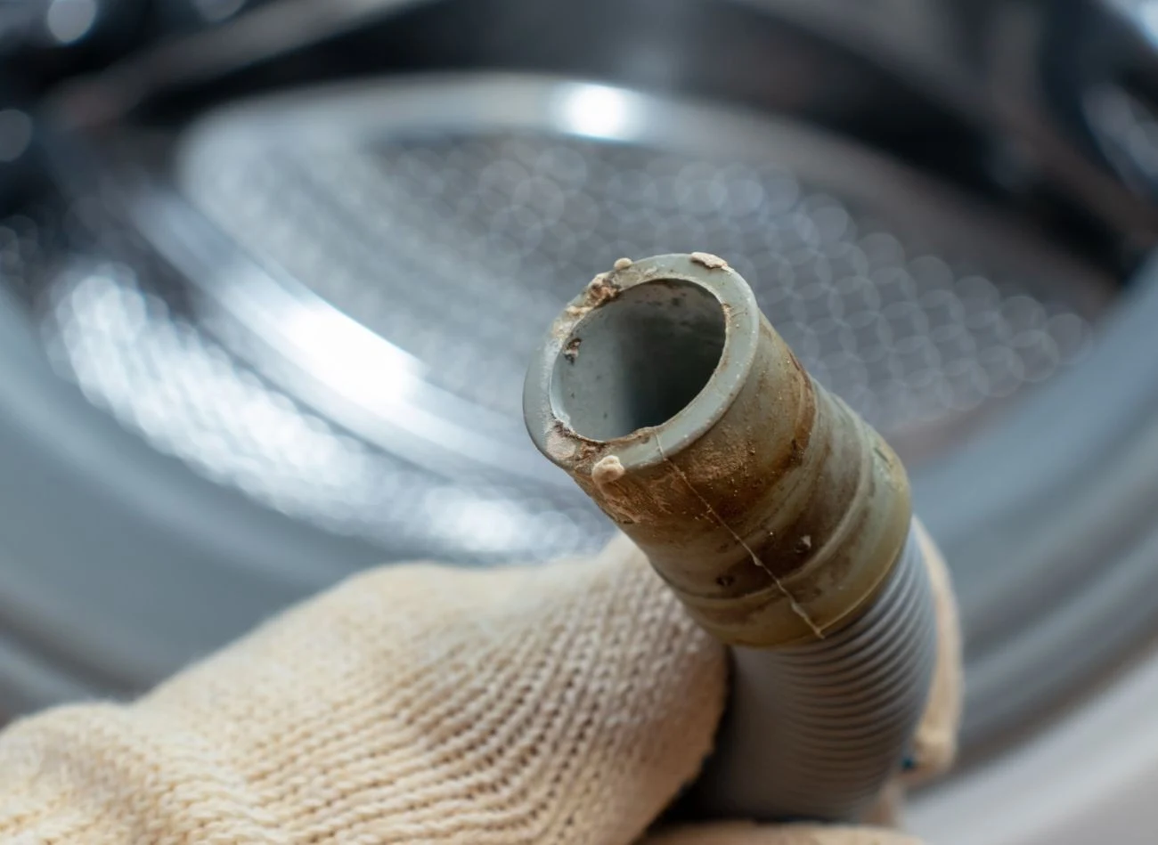 Podczas czyszczenia syfonu, warto również zadbać o podłączony do niego wąż odprowadzający