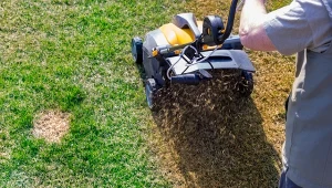 Wertykulacja trawnika jesienią pomaga trawie przygotować się do zimy i odmładza ją.