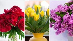 Co mówią na nasz temat kwiaty, które lubimy najbardziej?