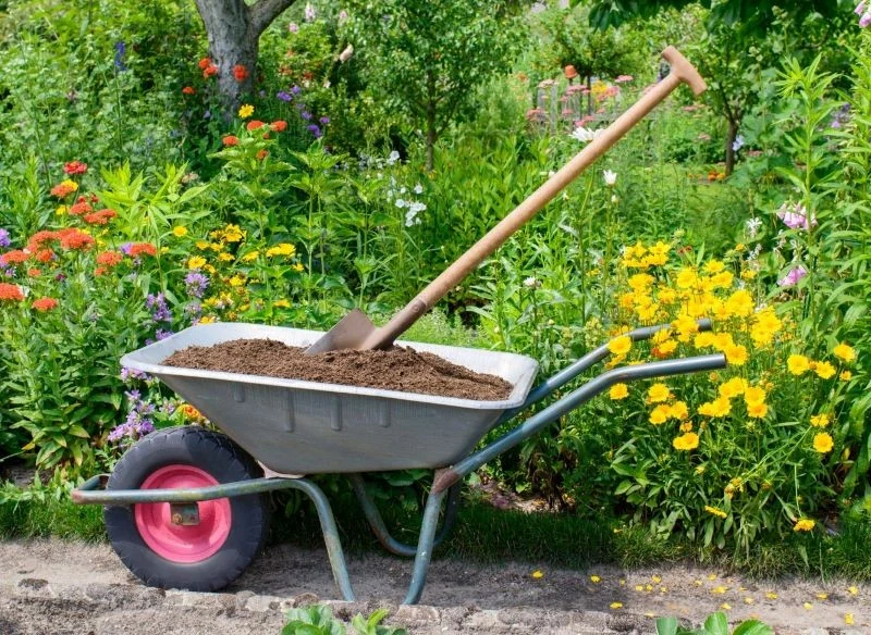 Kompost możemy stosować do każdego rodzaju upraw