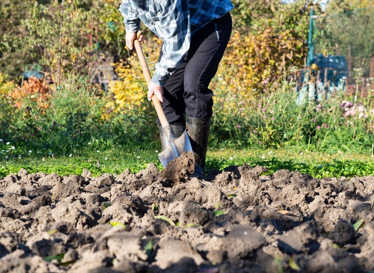 Przekopywanie ogrodu, to kolejna obowiązkowa czynność w jesiennym kalendarzu ogrodnika
