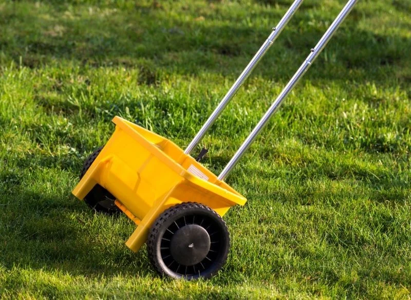 Nawóz wapienny możemy rozprowadzić na trawniku, korzystając z siewnika ogrodowego