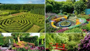 Tysiące roślin, labirynty drzew. Bajkowe miejsce nie tylko dla miłośników ogrodów
