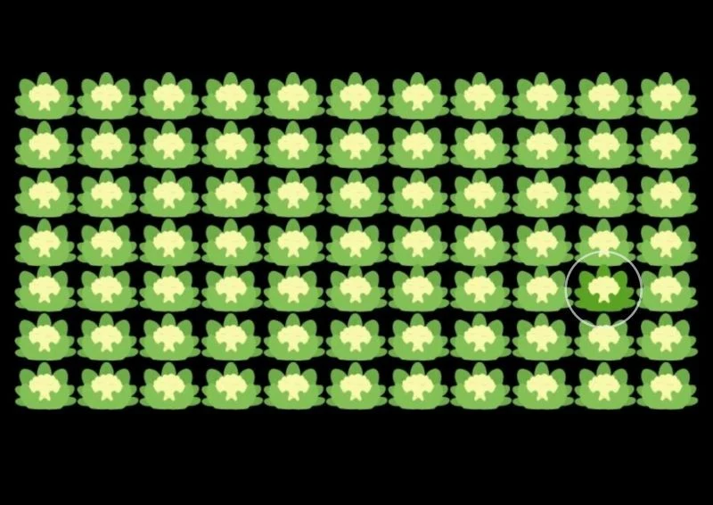 Znalazłeś odpowiedź na tę zagadkę optyczną w mniej niż 12 sekund