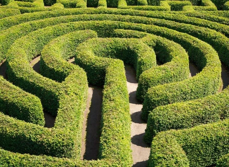 W Ogrodach Hortulus Spectabilis znajduje się największy na świecie labirynt grabowy