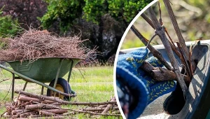 Poznaj sprawdzony sposób na pozbycie się gałęzi z ogrodu lub działki.