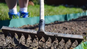 Z przekopywania grządek w ogrodzie można całkowicie zrezygnować.