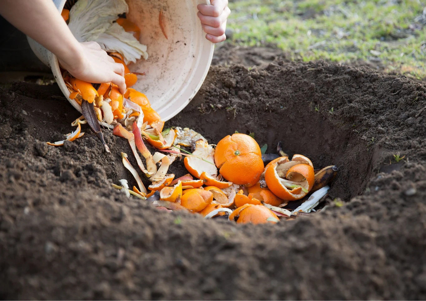 Najlepszy termin na kompostowanie odpadkami z kuchni przypada na jesień