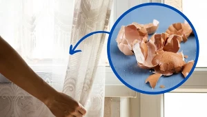 Na żółknięcie firanek ma wpływ wiele czynników.