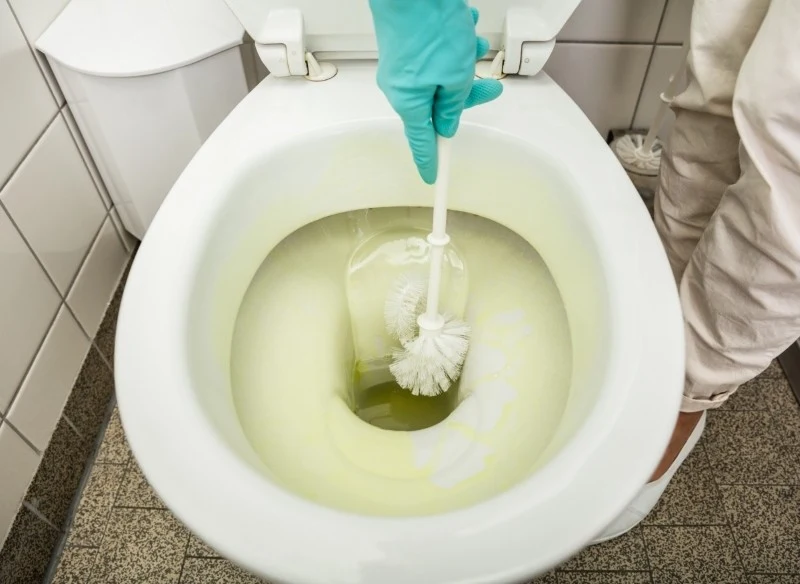 Żółte zacieki w muszli klozetowej wyglądają nieestetycznie, ale także powodują gromadzenie się bakterii