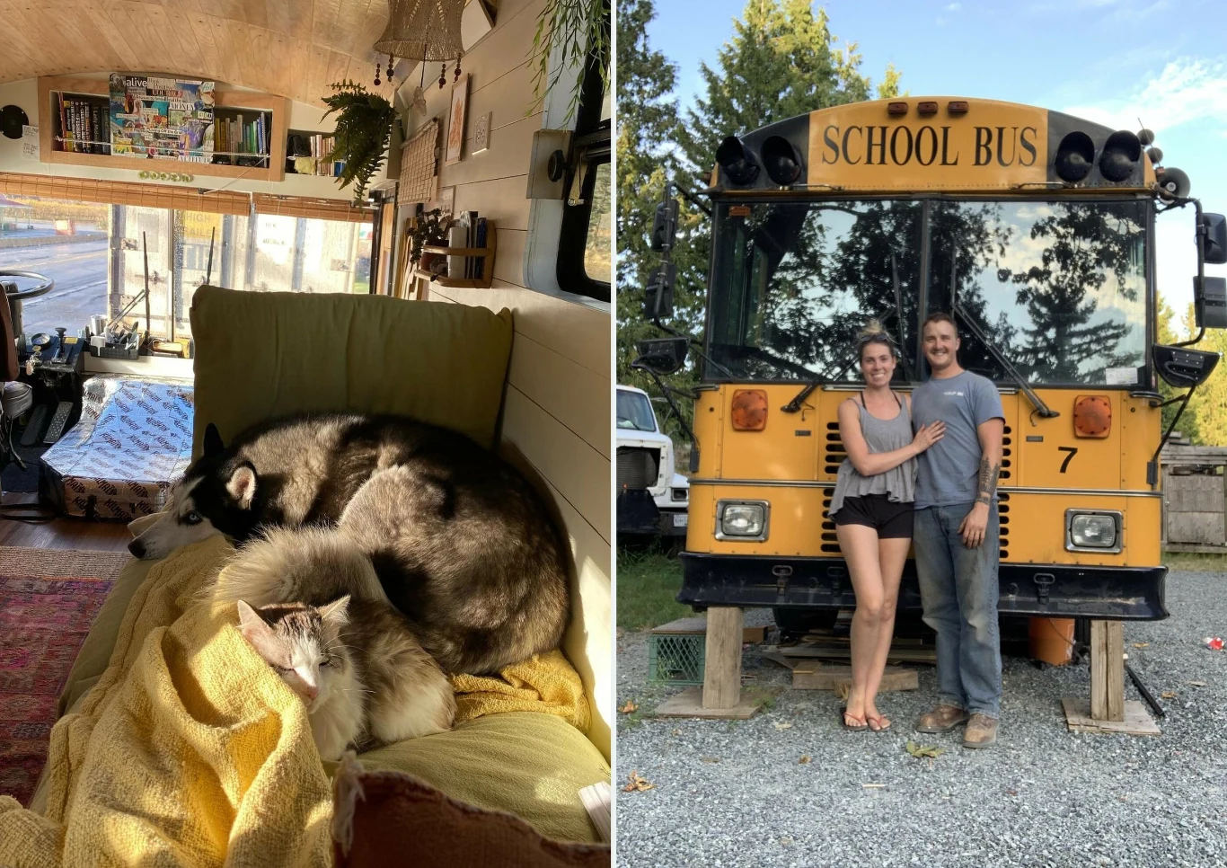 Wprowadzili się do autobusu z trzema zwierzętami