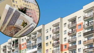 Kiedy komornik może zająć dom lub mieszkanie? Sprawdzamy./EastNews