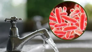 GIS ostrzega: legionelloza się rozprzestrzenia, zmień temperaturę w urządzeniach grzewczych