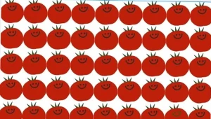 Sprawdź, czy uda ci się znaleźć innego pomidora w mniej niż 15 sekund.