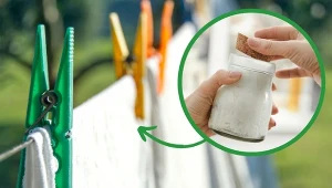 Pranie może być idealnie miękkie i pachnące nawet bez użycia płynu do płukania tkanin ze sklepu.