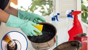 Do czyszczenia przypalonych garnków nie potrzebujemy drogich detergentów.