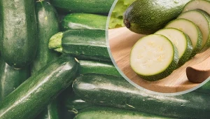 Cukinia jest chętnie uprawiana w wielu miejscach na świecie.