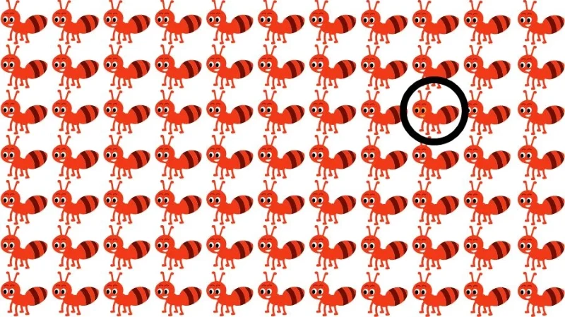 Tylko nieliczni mogą rozwiązać tę zagadkę optyczną w mniej niż 15 sekund