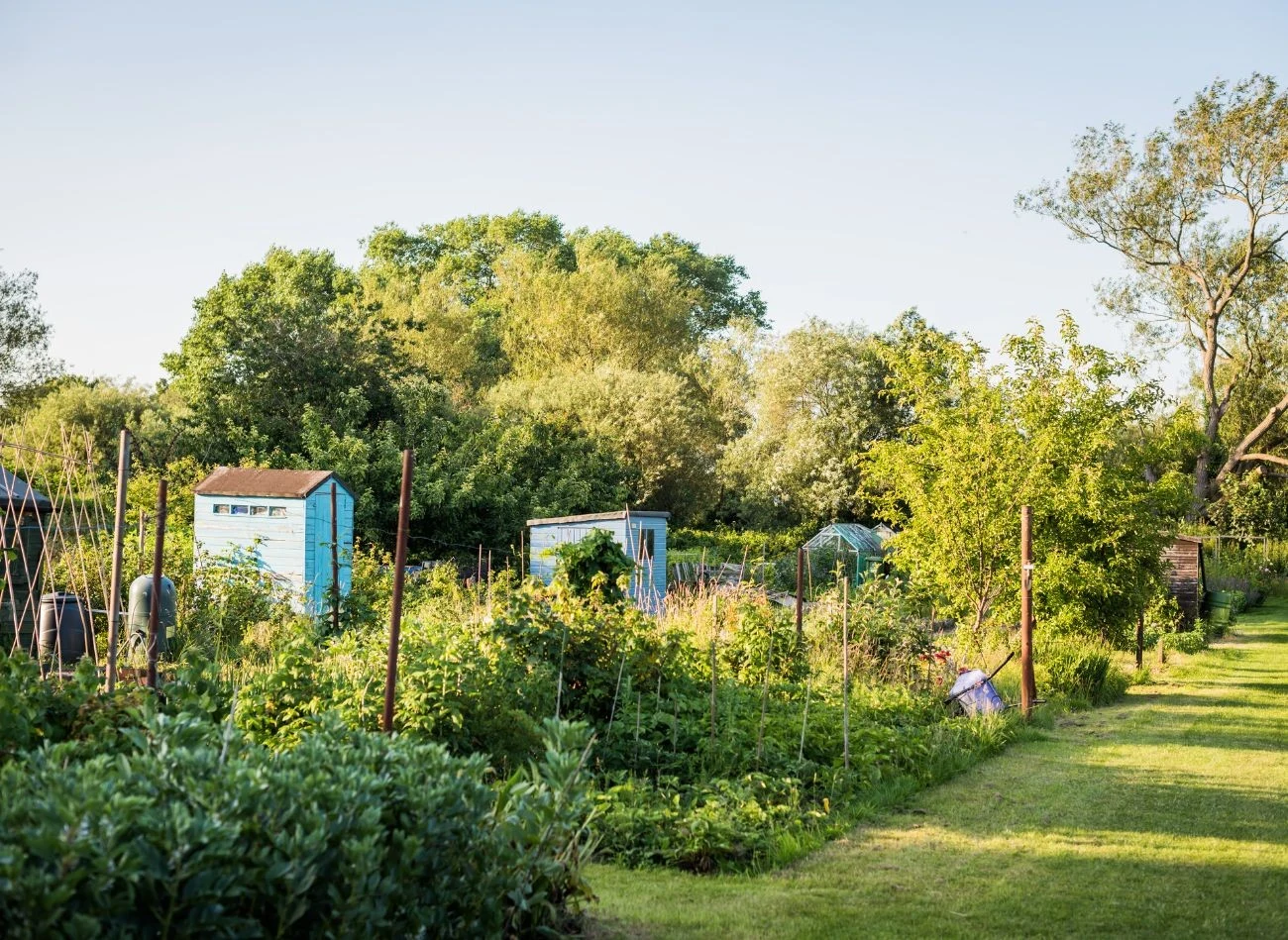 Na działce nie wolno składować odpadów, grożą za to wysokie kary