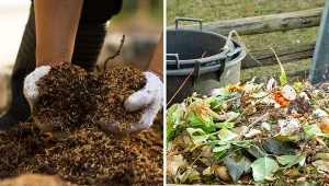 Jak zrobić kompost najwyższej jakości i do czego go stosować?
