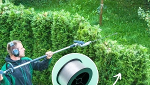 Jak przyciąć żywopłot z tui, żeby był równy? nie potrzebujesz pomocy fachowca