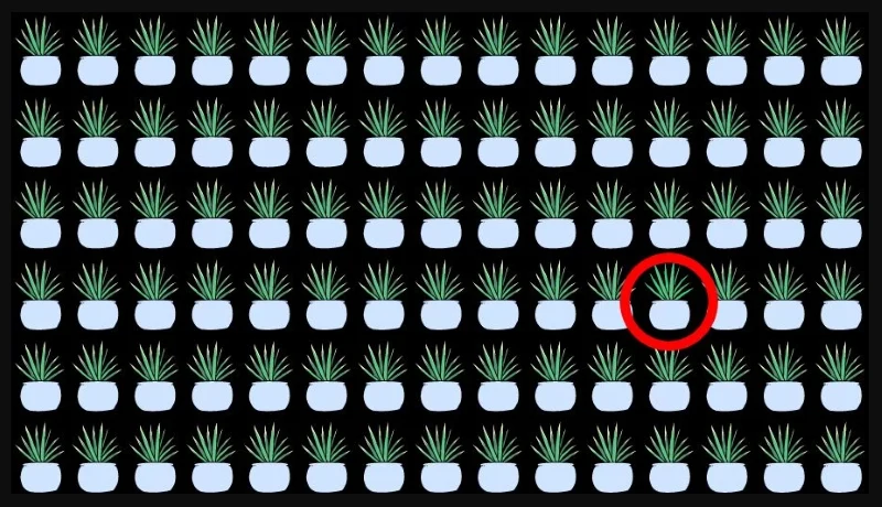 Tylko nieliczni znajdują odmienną roślinę w 15 sekund