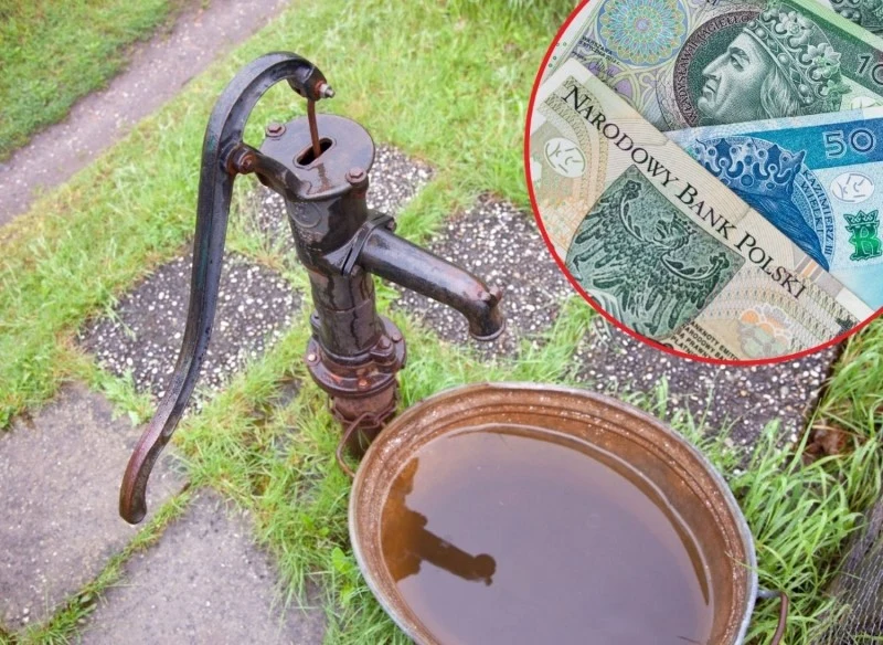 Aż kilkadziesiąt tysięcy działkowiczów może mieć problemy z prawem