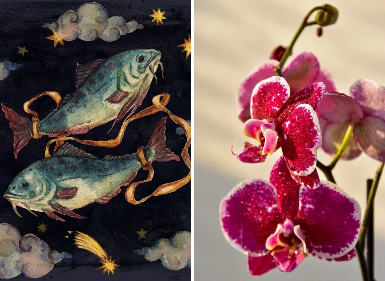 Ryby powinny otaczać się storczykami