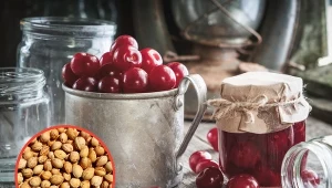 Pestki wiśni mają cenne właściwości i wiele zastosowań.