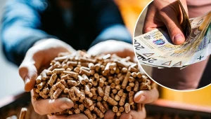 Sprawdzamy, jaka jest cena pelletu w sierpniu 2023.