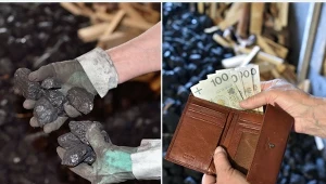 Ile kosztuje węgiel w sierpniu 2023? Sprawdź, jak kupić opał w PGG./East News