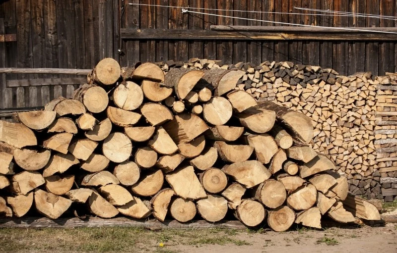 Świeże drewno na opał wymaga sezonowania