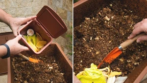 Jeżeli kompost śmierdzi i nie rozkłada się to znak, że pora zmienić nawyki.