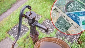 Aż kilkadziesiąt tysięcy działkowiczów może mieć problemy z prawem. Dlaczego? Sprawdź